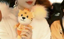 温暖小姐姐春节,温馨团圆，幸福满溢