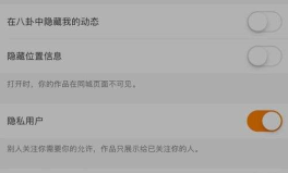 电脑快手怎么看私密作品,揭秘电脑快手私密作品浏览攻略